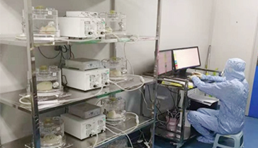 EMKA-WBP全身體積描記肺功能系統(tǒng)